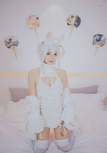 五等分的新娘第二季免费观看动漫