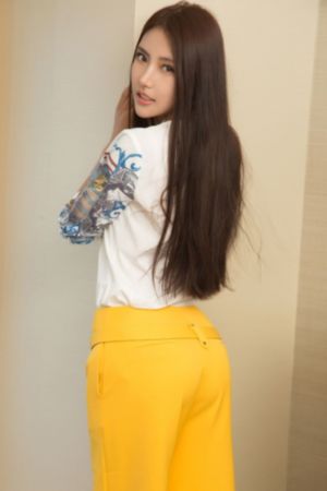 镖人动画
