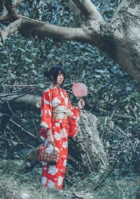 粉红大白菜